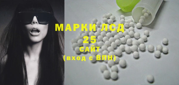 СК Горнозаводск
