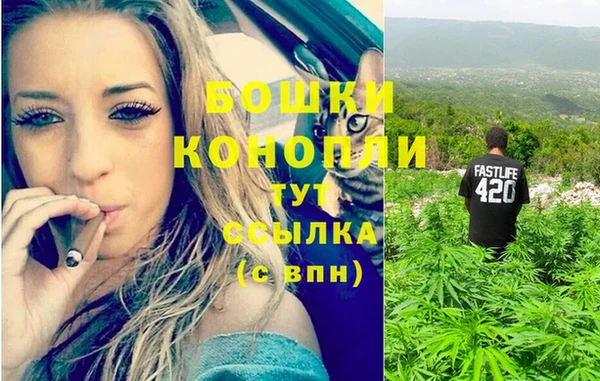 дживик Вяземский