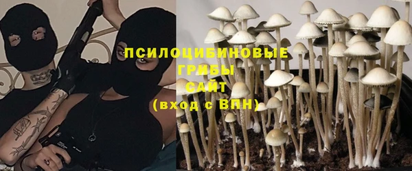 дживик Вяземский