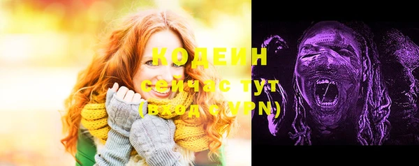 таблы Горняк