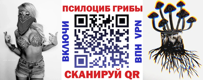 Псилоцибиновые грибы мухоморы  ссылка на мегу зеркало  Завитинск 